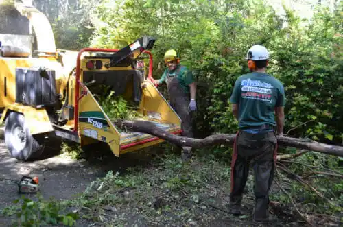 tree services Fraser